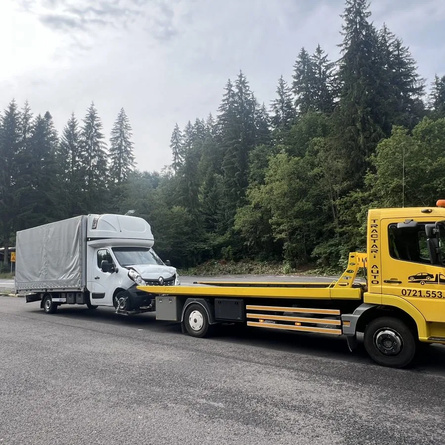 Nanu Nic Logistic